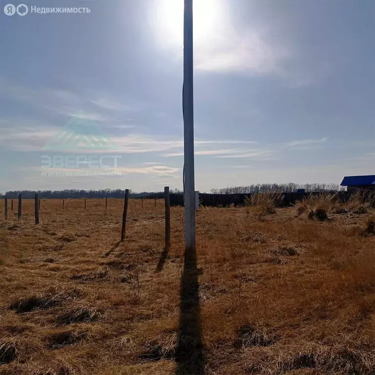 Участок в деревня Кайбалы, улица Победы, 40 (11.4 м) - Фото 1