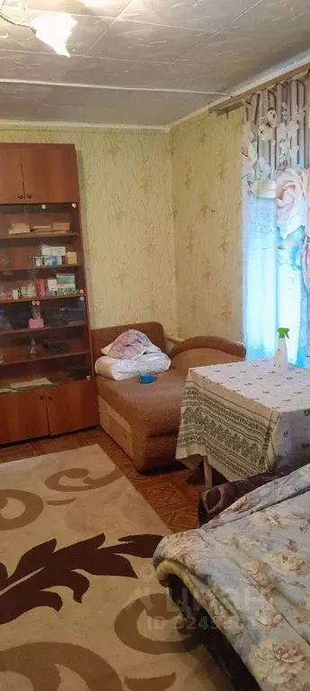 Дом в Нижегородская область, Заволжье г. Городецкий муниципальный ... - Фото 1