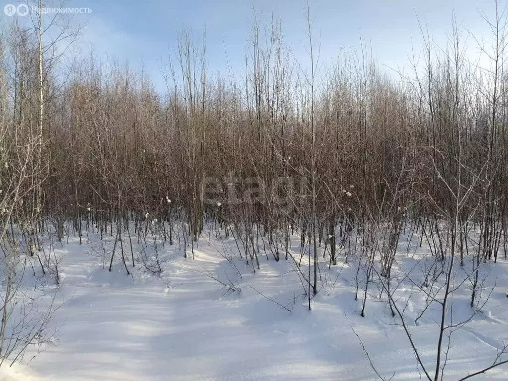 Участок в Вологодская область, Великоустюгский муниципальный округ, ... - Фото 0