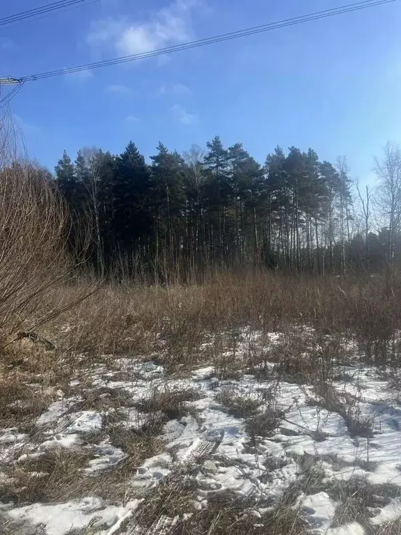 Участок в Московская область, Богородский городской округ, Садовые ... - Фото 1