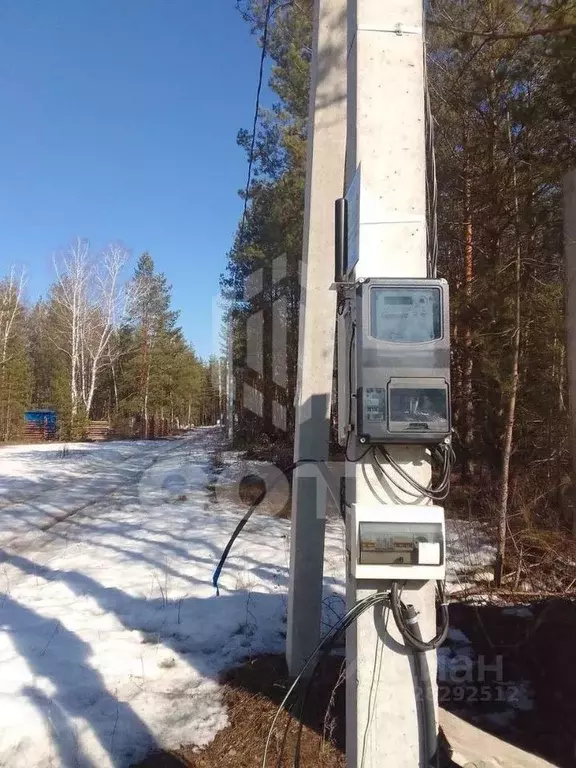 Участок в Воронежская область, Рамонский район, Новоживотинновское ... - Фото 2