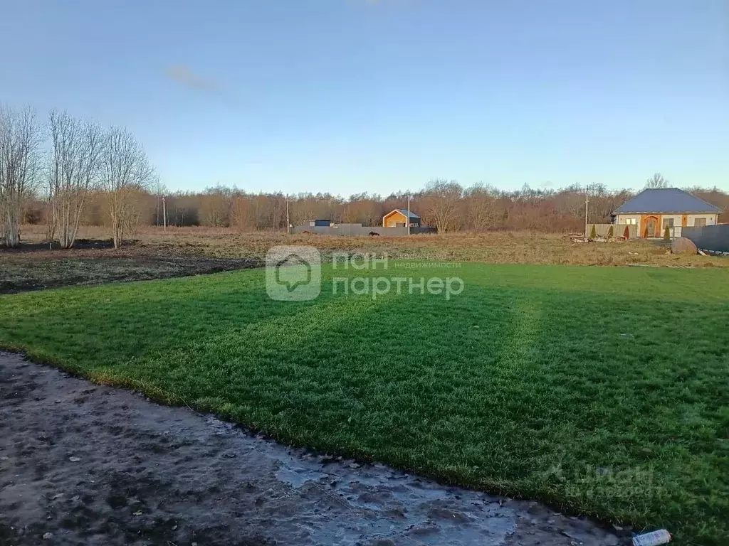 Участок в Ленинградская область, Ломоносовский район, Ропшинское ... - Фото 1