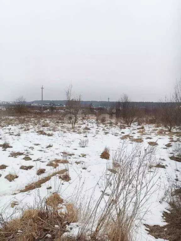 Участок в Курская область, Курский район, Моковский сельсовет, д. ... - Фото 0