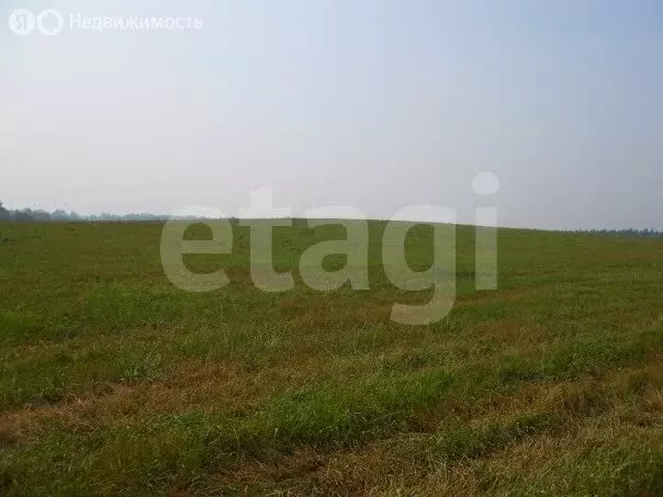 Участок в Московская область, городской округ Серпухов, деревня ... - Фото 2
