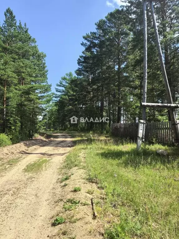 Участок в Бурятия, Баргузинский район, с. Макаринино (Башарово) ул. ... - Фото 1