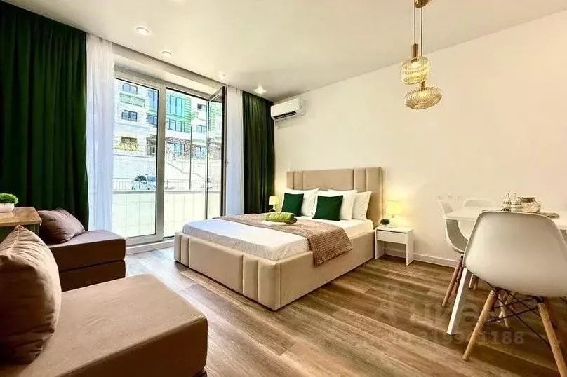1-к кв. Краснодарский край, Сочи ул. Ленина, 290/8 (25.0 м) - Фото 1