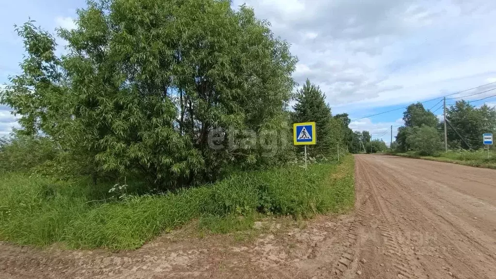 Участок в Архангельская область, Холмогорский муниципальный округ, д. ... - Фото 0