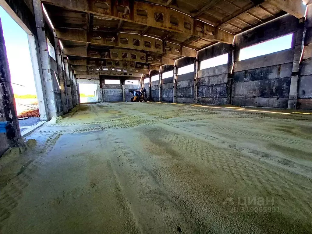 Помещение свободного назначения в Пензенская область, Пенза ул. ... - Фото 1