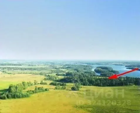 Участок в Тверская область, Удомельский муниципальный округ, д. ... - Фото 1