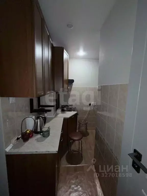 2-к кв. Иркутская область, Иркутск ул. Костычева, 6 (28.1 м) - Фото 1