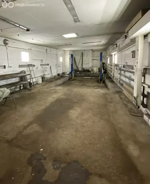 Помещение свободного назначения (256 м) - Фото 2