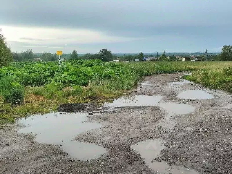 Участок в Ярославская область, Тутаевский муниципальный округ, ... - Фото 1