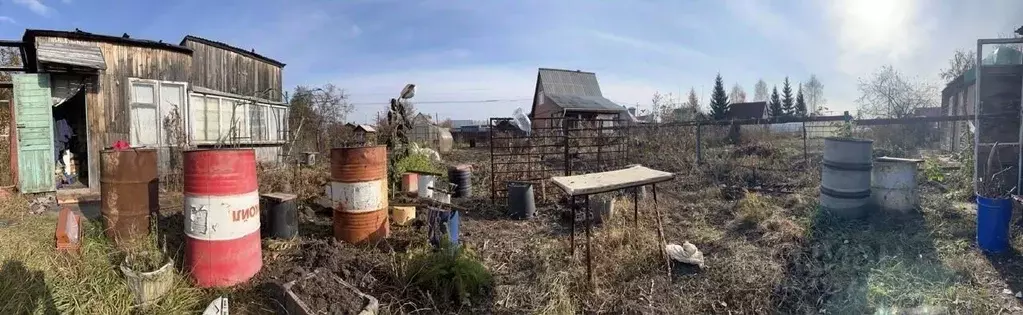 Участок в Новосибирская область, Новосибирский район, Морской ... - Фото 0