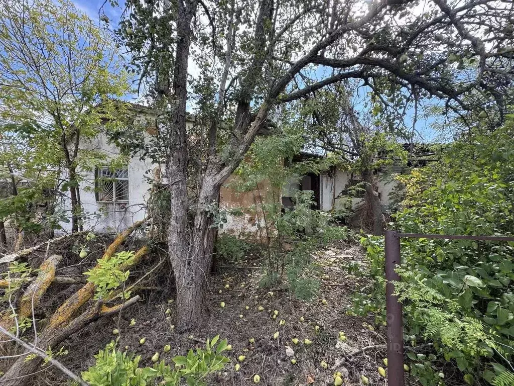 Участок в Крым, Саки Химик-1 СНТ,  (6.7 сот.) - Фото 2