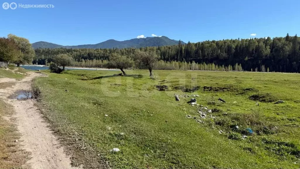 Участок в село Тюнгур, Набережная улица (12.52 м) - Фото 1