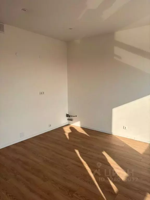 Студия Ленинградская область, Всеволожский район, Заневское городское ... - Фото 2