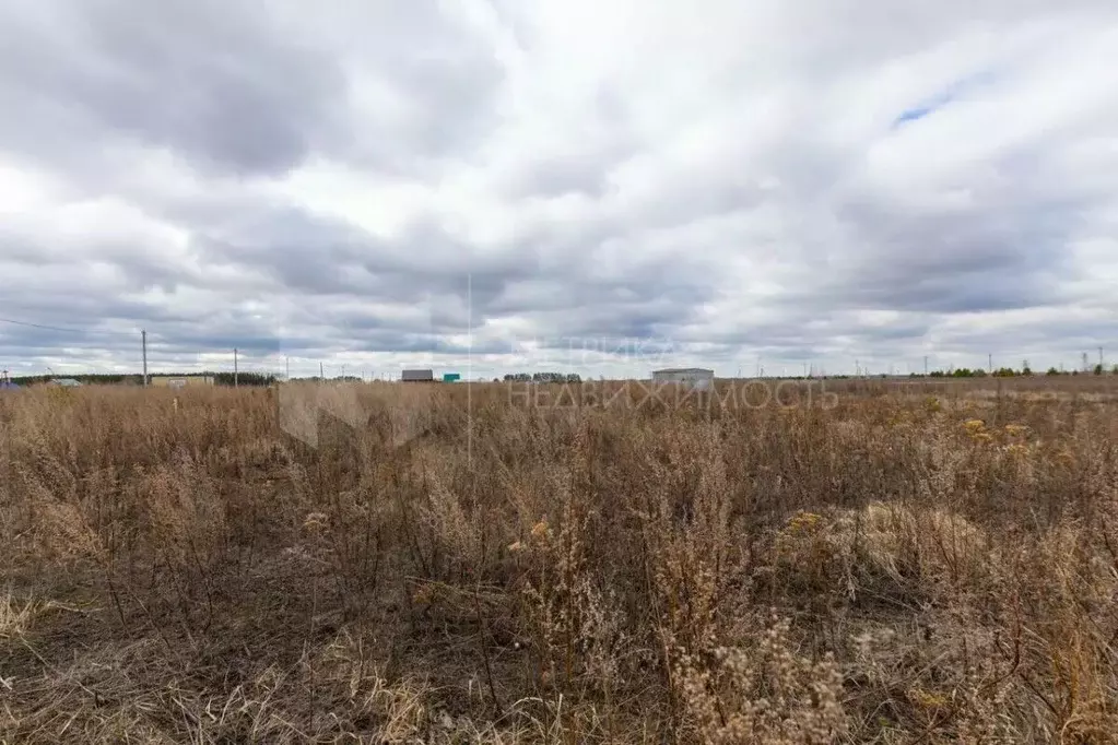 Участок в Тюменская область, Тюмень Зеленые Аллеи жилой квартал,  (6.8 ... - Фото 1