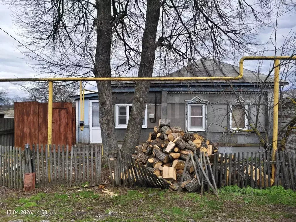 Дом в Воронежская область, Грибановский пгт ул. Красная Тула, 19 (50 ... - Фото 1