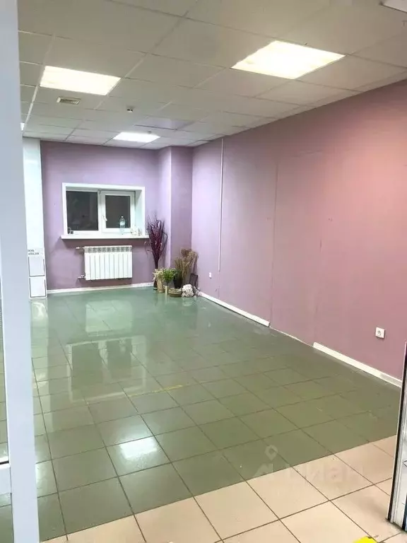 Торговая площадь в Вологодская область, Великий Устюг Красная ул., ... - Фото 1