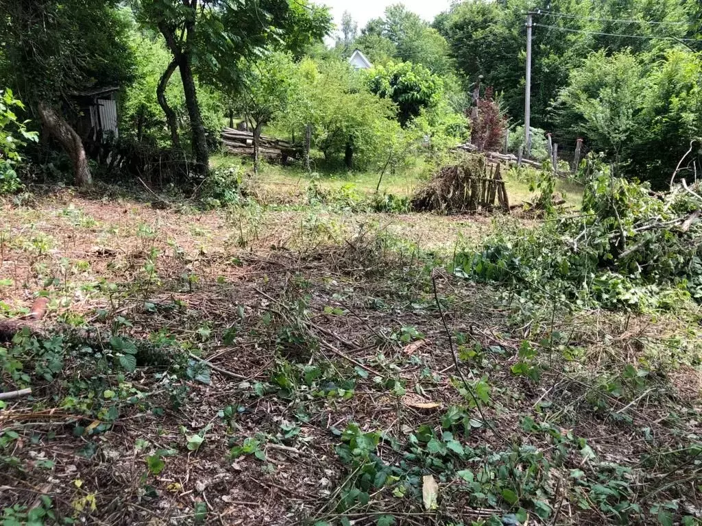 Участок в Краснодарский край, Сочи городской округ, с. Верхний Юрт ул. ... - Фото 0