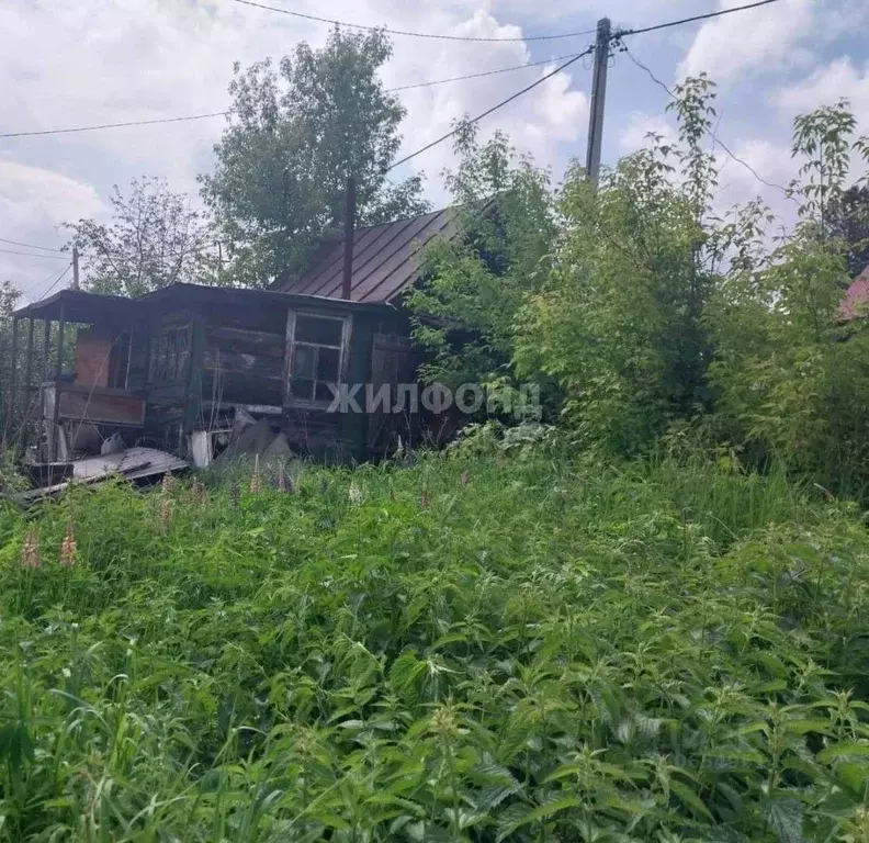 Дом в Новосибирская область, Новосибирск Угольщик садовое ... - Фото 0