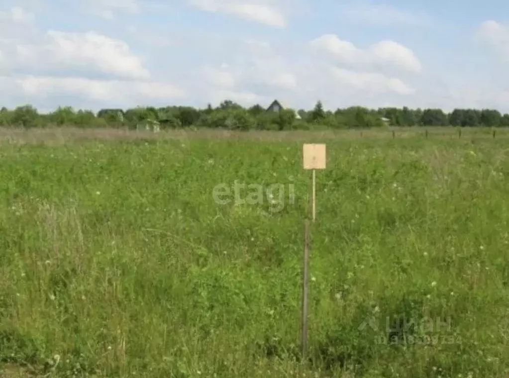 Участок в Костромская область, Костромской район, Середняковское ... - Фото 0