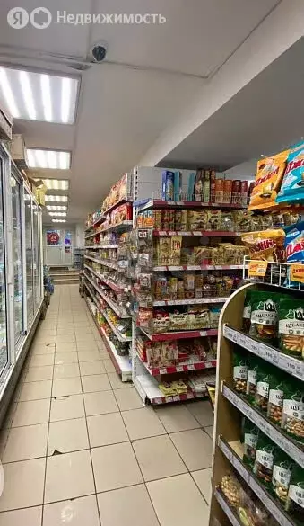 Помещение свободного назначения (67.7 м) - Фото 1