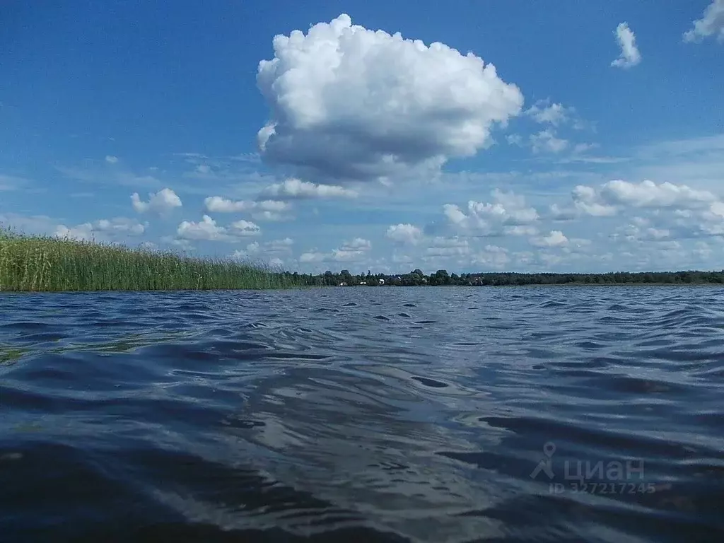 Участок в Ленинградская область, Гатчинский муниципальный округ, д. ... - Фото 1