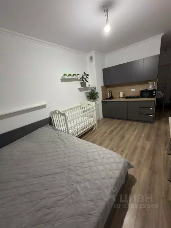 Студия Тверская область, Тверь ул. Левитана, 95А (25.0 м) - Фото 2