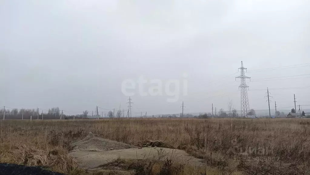 Участок в Мордовия, Лямбирский район, Берсеневское с/пос, пос. ... - Фото 2