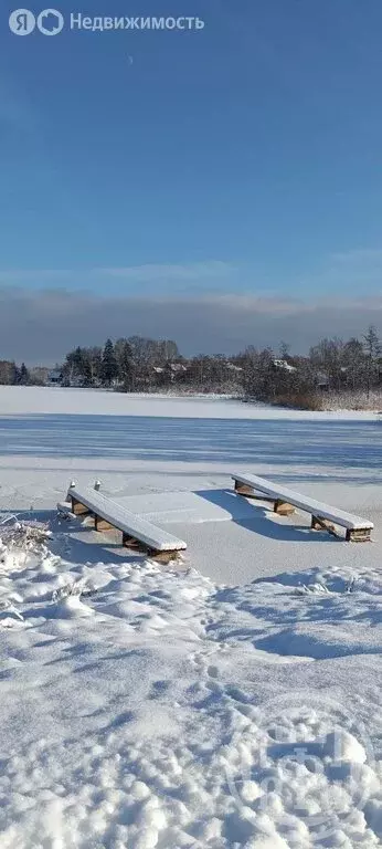 Участок в Новгородская область, Батецкий муниципальный округ, деревня ... - Фото 1