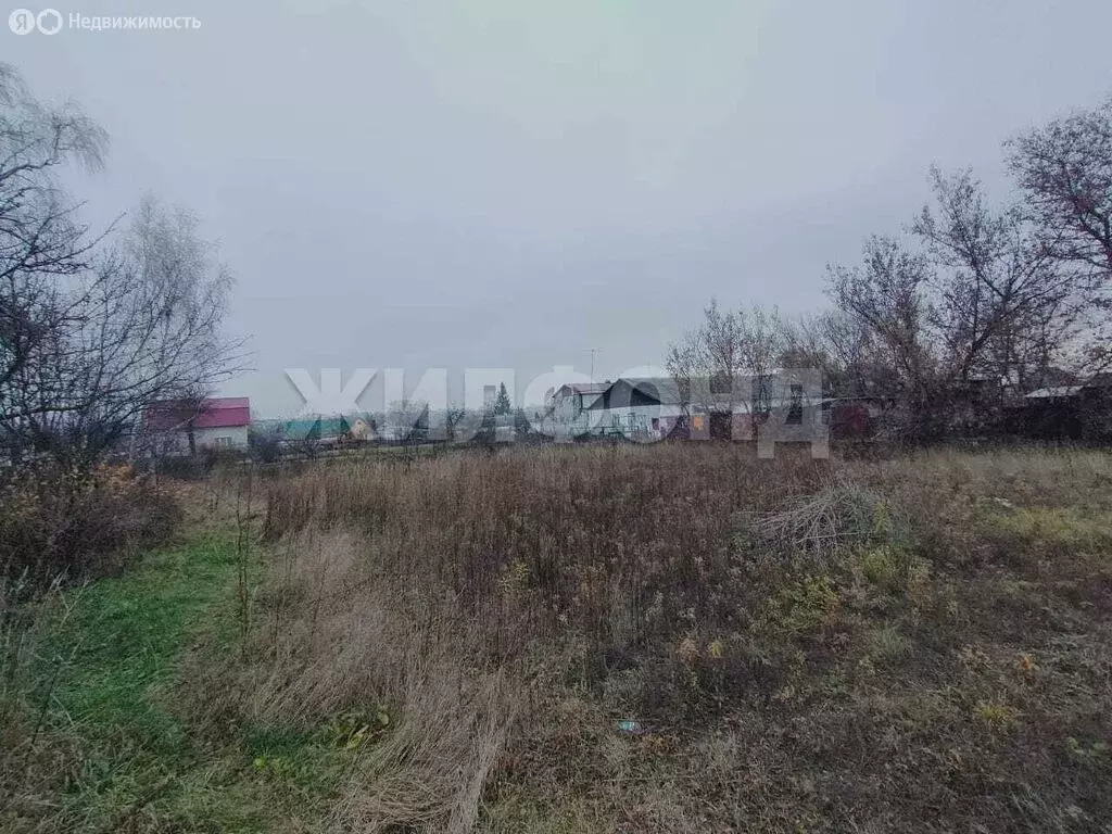 Участок в деревня Нижняя Лужна, Банный переулок (25 м) - Фото 1