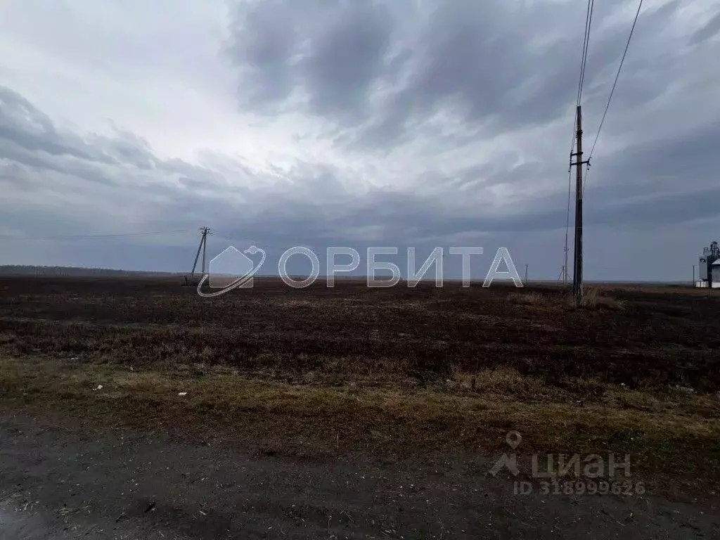 Участок в Тюменская область, Тюменский район, д. Зырянка  (570.0 сот.) - Фото 1