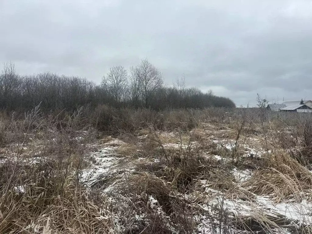 Участок в Московская область, Рузский муниципальный округ, д. ... - Фото 2