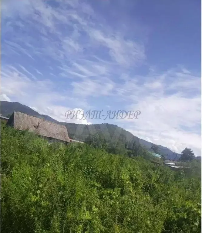 Участок в Алтай, Шебалинский район, с. Мыюта Российская ул. (11.0 ... - Фото 1