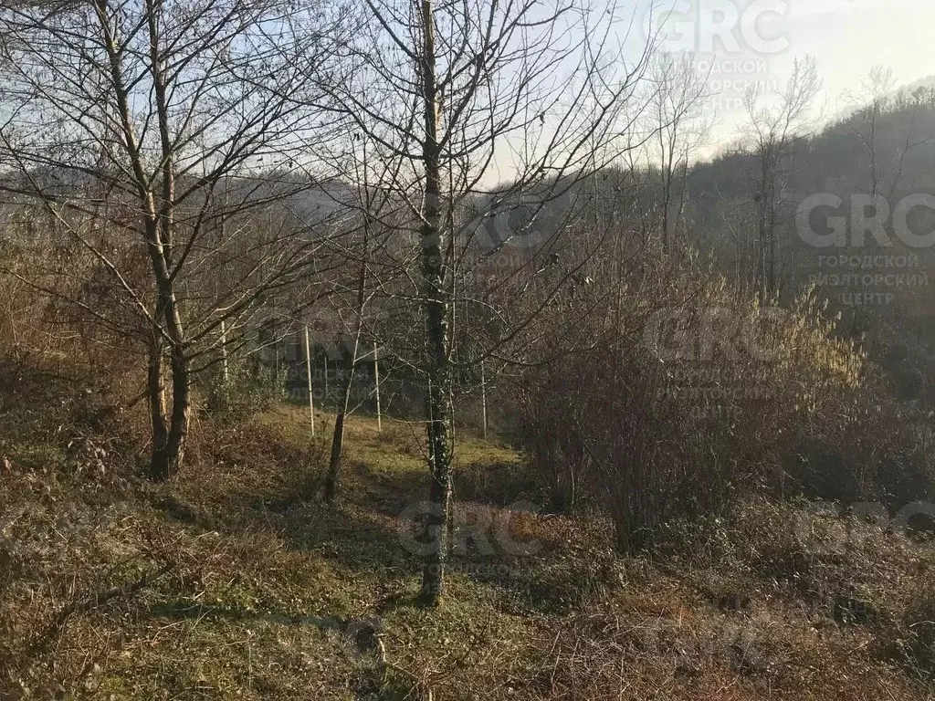 Участок в Краснодарский край, Сочи городской округ, с. Хлебороб ул. ... - Фото 2