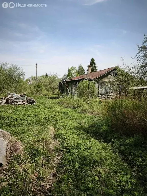 Участок в городской посёлок Рощино, садоводческое некоммерческое ... - Фото 1