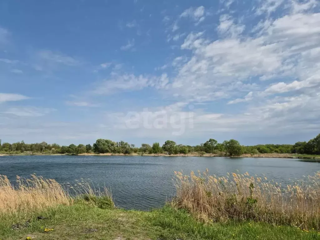 Участок в Курская область, Курский район, Полянский сельсовет, с. ... - Фото 2