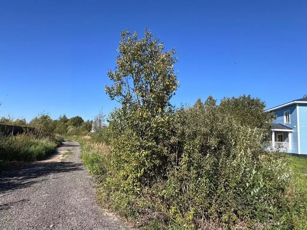 Участок в Московская область, Истра муниципальный округ, д. Дьяково  ... - Фото 2