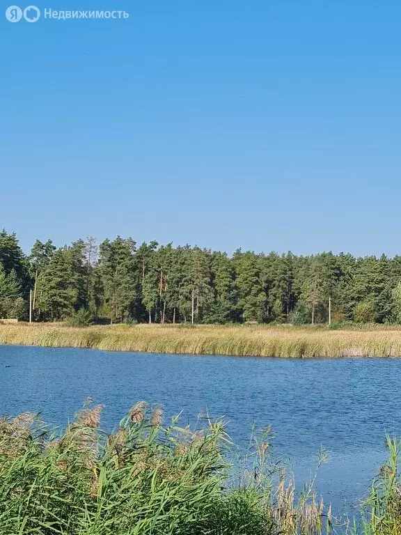 Участок в Липецкая область, Добровский муниципальный округ, село ... - Фото 1