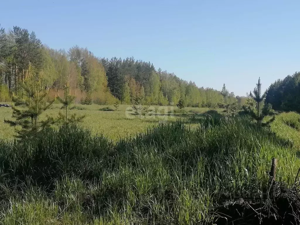 Участок в Свердловская область, Полевской муниципальный округ, с. ... - Фото 2