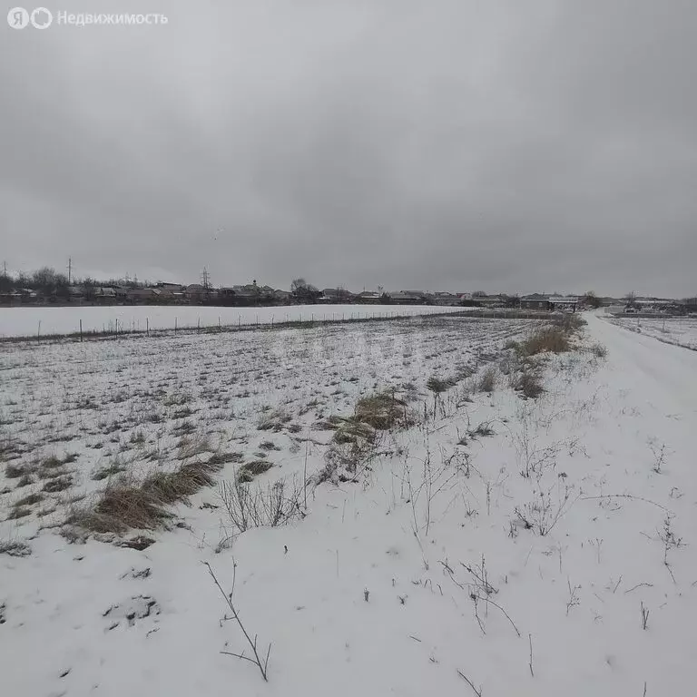 Участок в Назрань, городок Центр Камаз (30 м) - Фото 1