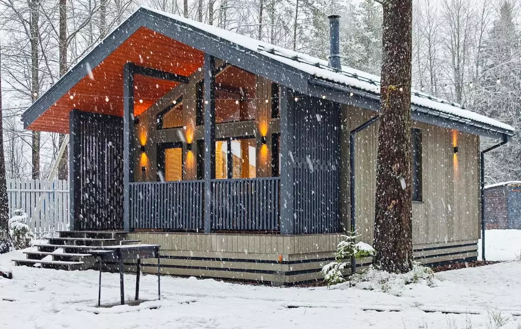 Дом в Ленинградская область, Приозерский район, Раздольевское с/пос, ... - Фото 1