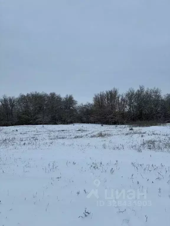 Дом в Волгоградская область, Городищенский район, Песковатка хут.  (62 ... - Фото 2