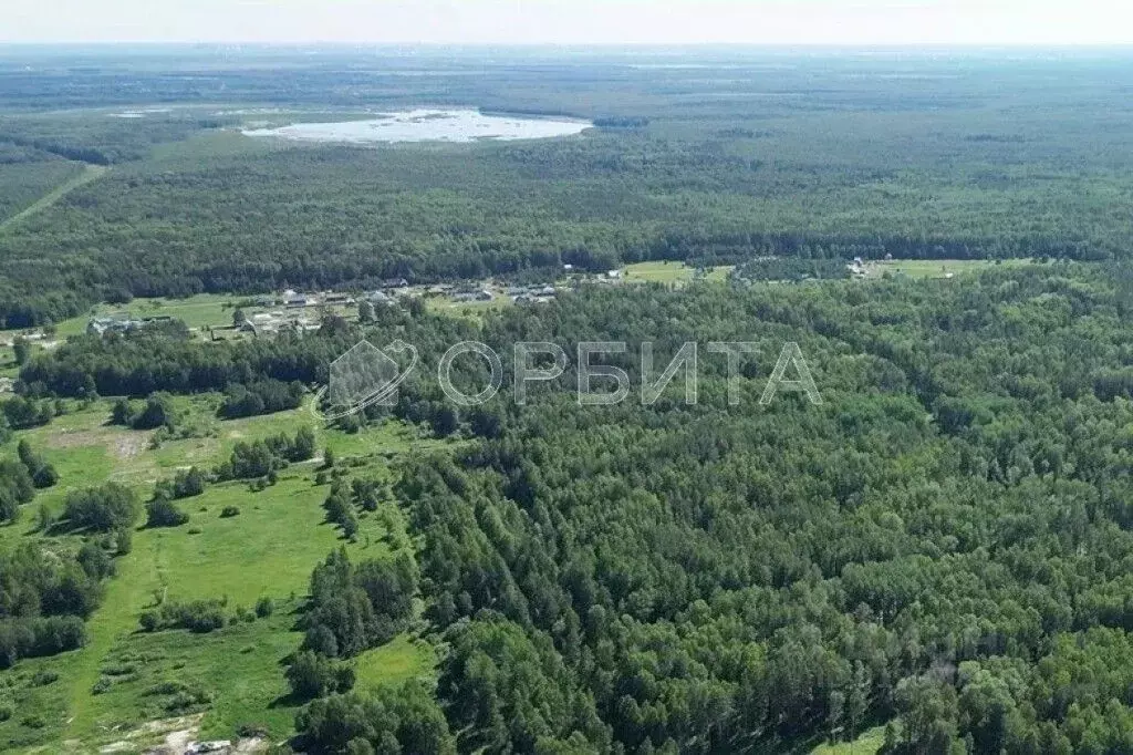 Участок в Тюменская область, Нижнетавдинский район, с. Тюнево  (7.7 ... - Фото 0