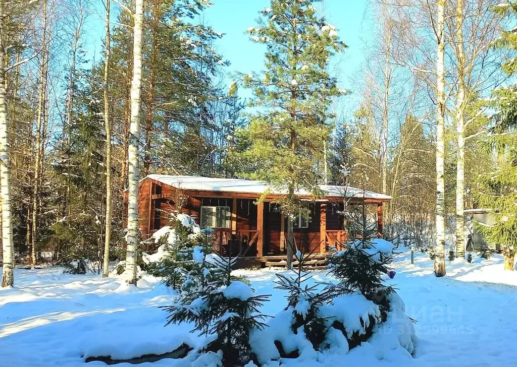Дом в Новгородская область, Валдайский район, Рощинское с/пос, д. ... - Фото 1