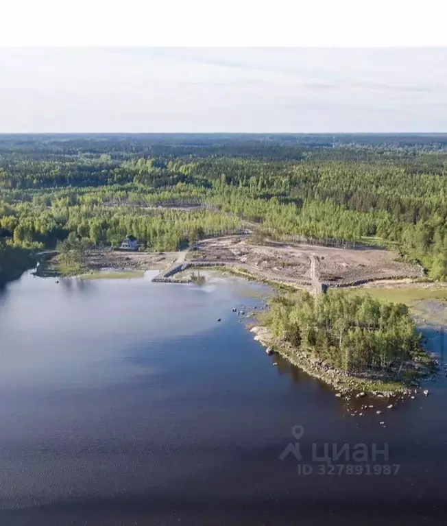 Участок в Ленинградская область, Выборгский район, Селезневское с/пос, ... - Фото 2