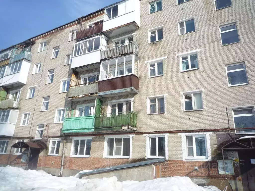 2-к кв. Владимирская область, Киржач Красный Октябрь мкр, ул. Пушкина, ... - Фото 1