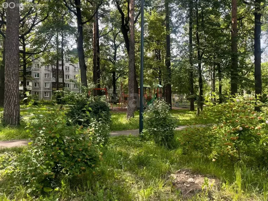 1к в -комнатной квартире (11.3 м) - Фото 1