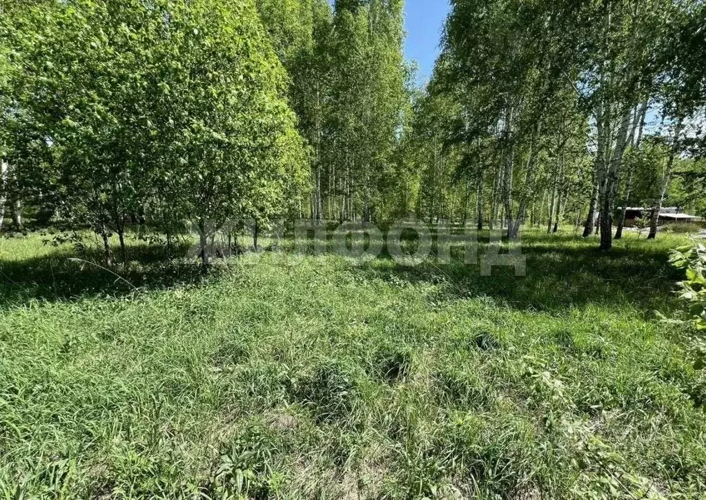 Участок в Кемеровская область, Березовский городской округ, пос. ... - Фото 0